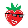 小红莓直播app盒子