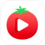 草莓视频安卓免费 图标