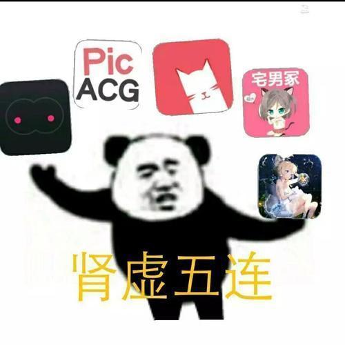 肾虚五连app黄