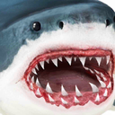鲨鱼生存模拟器破解版 图标