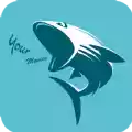 鲨鱼影视安卓手机版 图标
