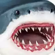 终极大白鲨模拟器无限生命