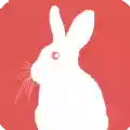 玉兔直播视频 图标