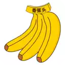 香蕉头