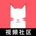 猫咪app官方版