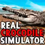 真正的鳄鱼模拟器 图标