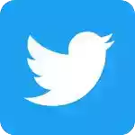 小蓝鸟Twitter 图标