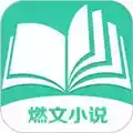燃文小说官方app
