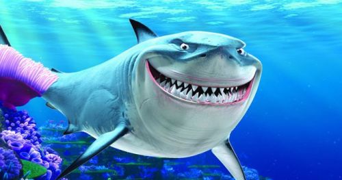 哪种动物一生都在换牙鲨鱼还是鳄鱼 蚂蚁庄园鲨鱼还是鳄鱼一生都在换牙齿图片1
