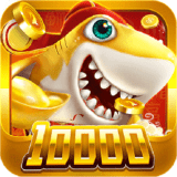 大金鲨游戏app 图标