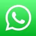 whatsapp软件