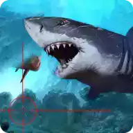 愤怒的鲨鱼模拟器